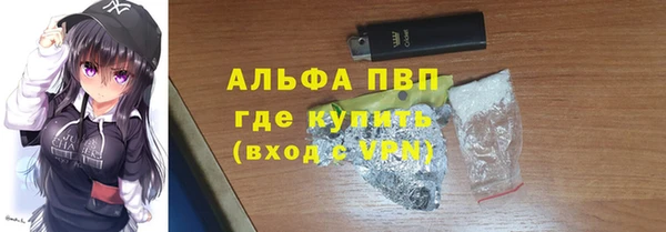 ГАЛЛЮЦИНОГЕННЫЕ ГРИБЫ Белокуриха