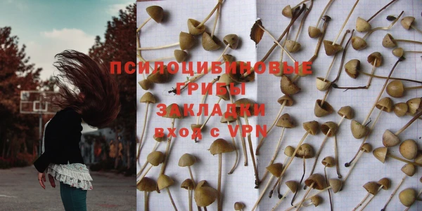 ГАЛЛЮЦИНОГЕННЫЕ ГРИБЫ Белокуриха