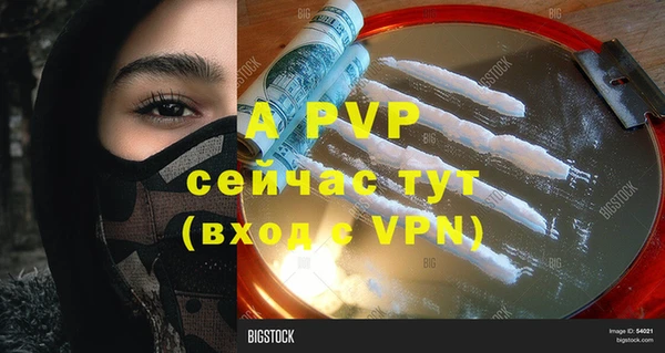 ГАЛЛЮЦИНОГЕННЫЕ ГРИБЫ Белокуриха